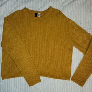 Golden Yellow Sweater